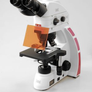 Hund medicus pro Myko Fluoreszenz-Mikroskop